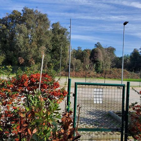 Appartamento 9 Residance Piviere Calambrone Esterno foto