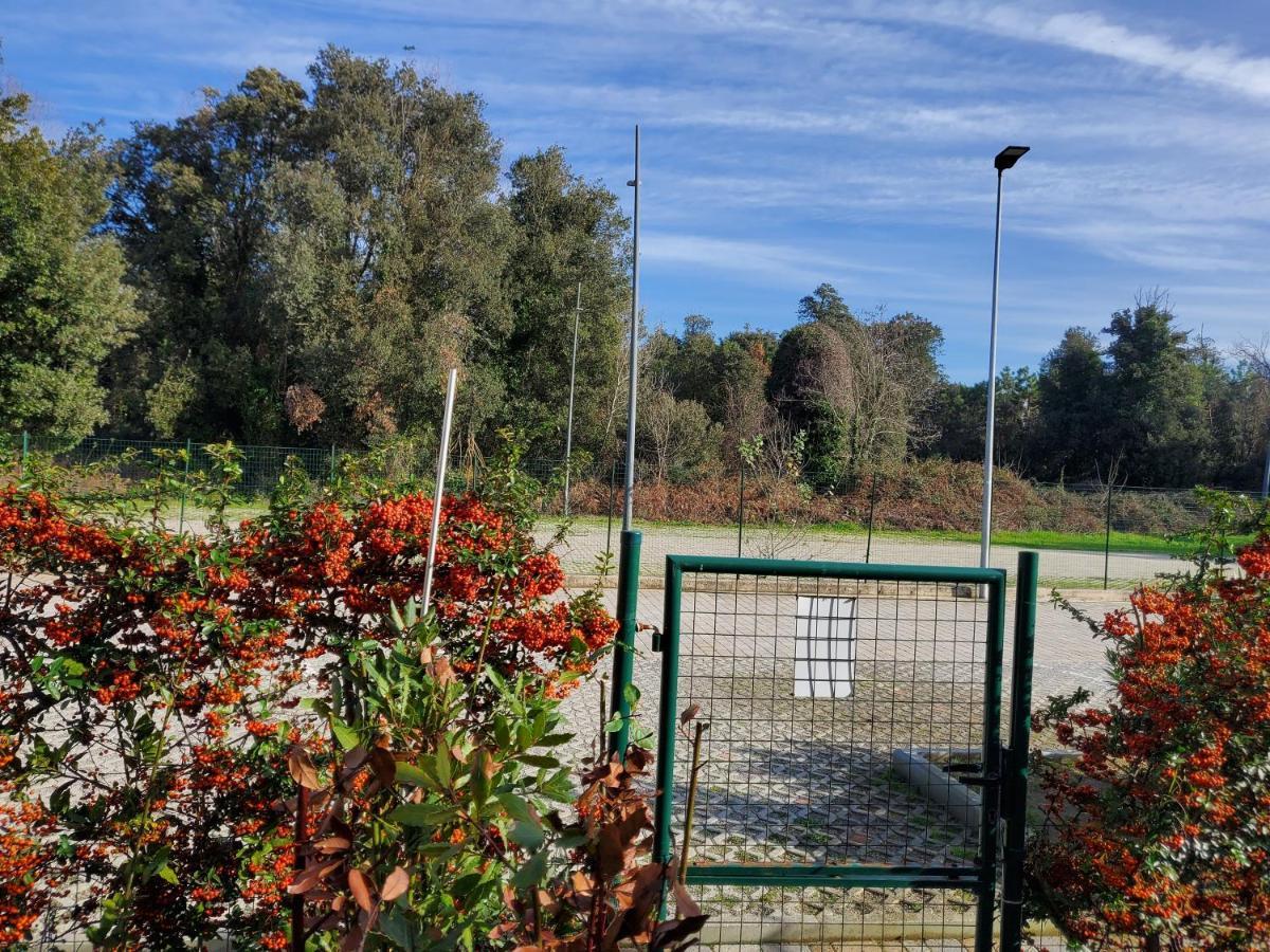 Appartamento 9 Residance Piviere Calambrone Esterno foto